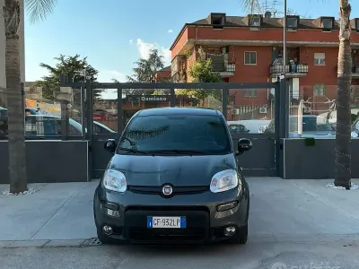 Usata Fiat Panda Sport 69 CV (50 kW) 2021 Grigio Utilitaria