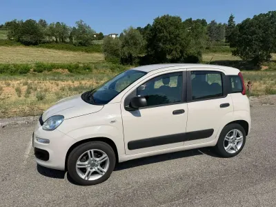 Usata Fiat Panda Easy 80 CV (58 kW) 2015 Beige chiaro Utilitaria