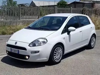 Usata Fiat Punto Evo 75 CV (55 kW) 2015 Bianco Utilitaria