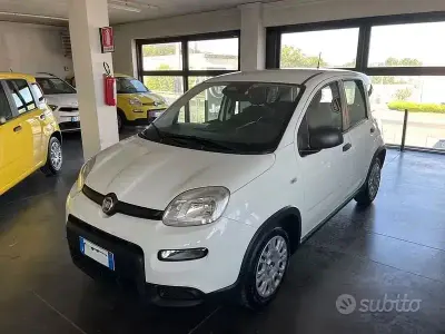 Usata Fiat Panda S 70 CV (51 kW) 2024 Bianco Utilitaria