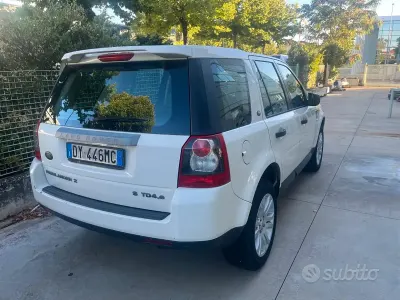 Usata Land Rover Freelander 2 111 CV (81 kW) 2009 Bianco SUV