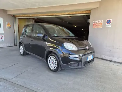 Usata Fiat Panda