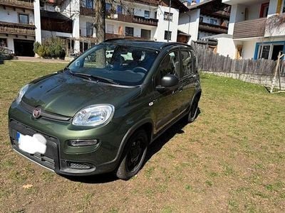 Usata Fiat Panda 4x4 Wild 86 CV (63 kW) 2021 Verde Utilitaria