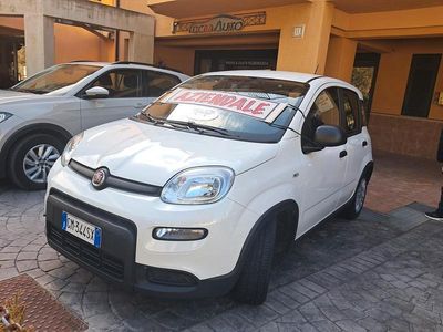 Usata Fiat Panda City Life 69 CV (50 kW) 2023 Bianco Utilitaria