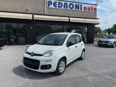 Usata Fiat Panda Easy 69 CV (50 kW) 2017 Other Utilitaria