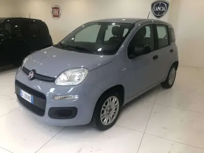 Usata Fiat Panda Easy 69 CV (50 kW) 2020 Grigio Utilitaria