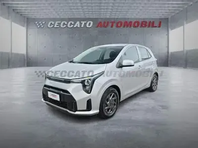 Usata Kia Picanto Urban 63 CV (46 kW) 2025 Argento Utilitaria