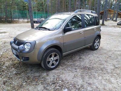 usata Fiat Panda Cross - 2006