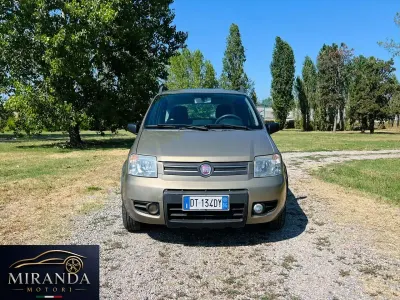 Usata Fiat Panda Climbing 60 CV (44 kW) 2008 Bronzo Utilitaria