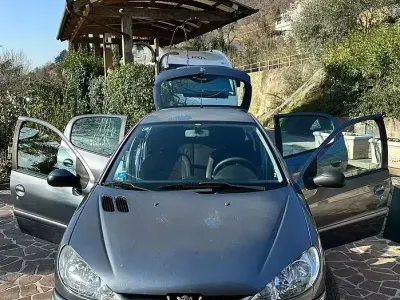 Usata Peugeot 206