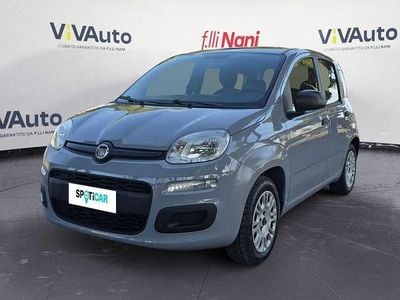 Usata Fiat Panda Pop 69 CV (50 kW) 2019 Grigio Utilitaria