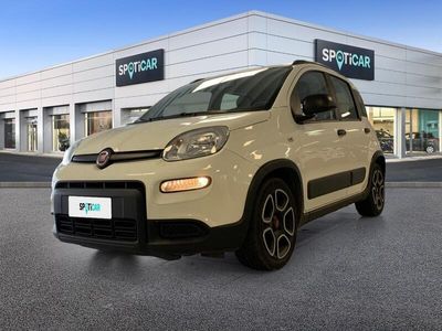 usata Fiat Panda 1.0 FireFly 70cv S&S Hybrid City Life