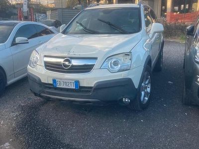 Usata Opel Antara Cosmo 150 CV (110 kW) 2010 Bianco SUV