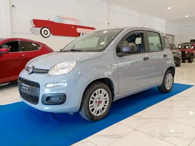 Usata Fiat Panda Pop 69 CV (50 kW) 2019 Grigio Utilitaria