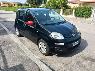 Usata Fiat Panda 69 CV (50 kW) 2014 Utilitaria