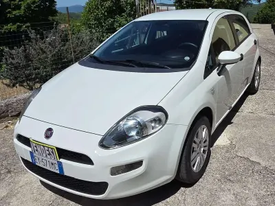 Usata Fiat Punto Lounge 75 CV (55 kW) 2015 Bianco Utilitaria