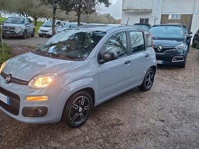 Usata Fiat Panda Cross Cross 69 CV (50 kW) 2021 Grigio Utilitaria