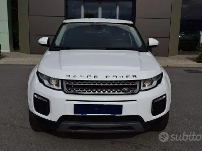 Usata Land Rover Range Rover evoque Dynamic 150 CV (110 kW) 2015 Bianco SUV