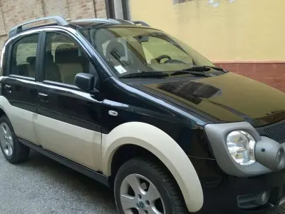 Usata Fiat Panda 4x4