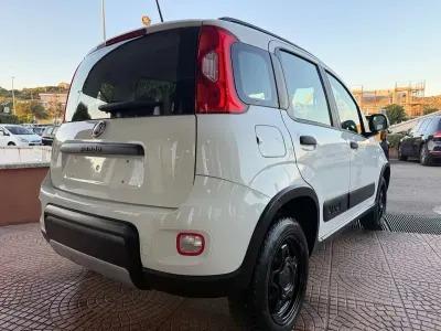 Usata Fiat Panda 4x4 S 86 CV (63 kW) 2020 Bianco Utilitaria