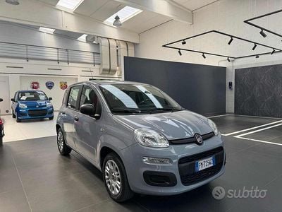 Usata Fiat Panda Easy 69 CV (50 kW) 2018 Grigio Utilitaria