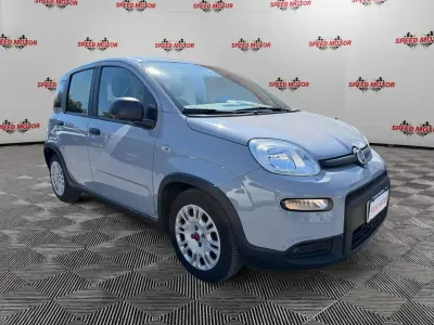 Usata Fiat Panda