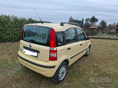 Usata Fiat Panda Active 54 CV (39 kW) 2004 Giallo Utilitaria