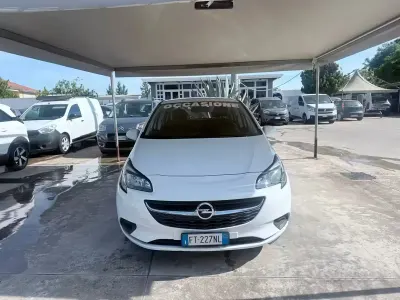 Usata Opel Corsa Innovation 69 CV (50 kW) 2019 Bianco Utilitaria