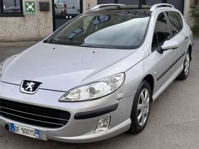 Usata Peugeot 407