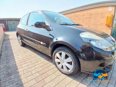 Usata Renault Clio III