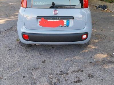 Usata Fiat Panda 69 CV (50 kW) 2017 Grigio Utilitaria