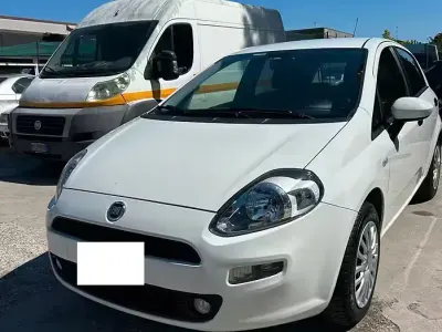 Usata Fiat Punto Street 85 CV (62 kW) 2014 Bianco Utilitaria
