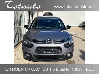 usata Citroën C4 Cactus BlueHDi 100 S&S Feel