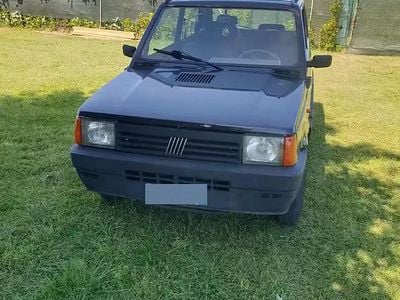 Usata Fiat Panda 4x4 54 CV (39 kW) 2003 Nero Utilitaria