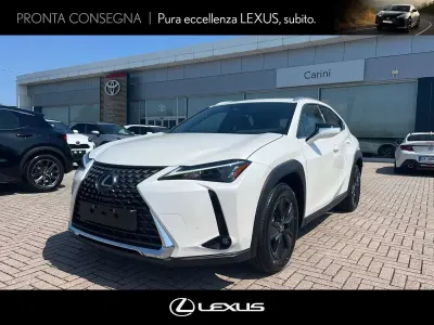 Usata Lexus UX 300h