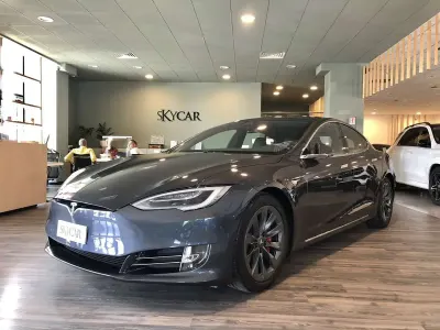 Usata Tesla Model S Performance 180 kW (245 CV) 2020 Grigio Utilitaria