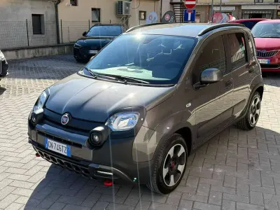 Usata Fiat Panda Cross Cross 69 CV (50 kW) 2023 Grigio Utilitaria