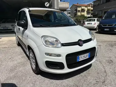 Usata Fiat Panda Easy 69 CV (50 kW) 2015 Bianco Utilitaria
