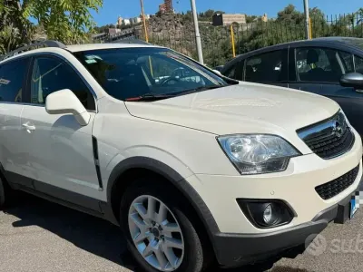 Usata Opel Antara Cosmo 163 CV (119 kW) 2012 Bianco SUV