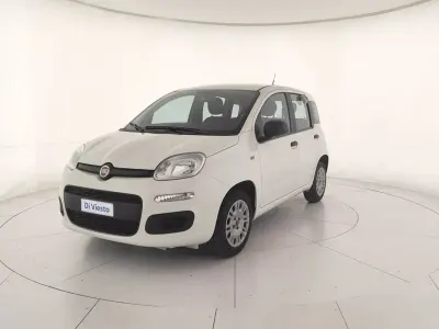 Usata Fiat Panda Easy 69 CV (50 kW) 2020 Other Utilitaria