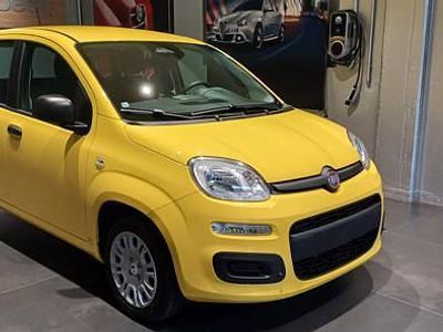 Nuova Fiat Panda Pop 69 CV (50 kW) 2025 Giallo Berlina