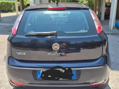 Usata Fiat Punto Evo 77 CV (56 kW) 2011 Bluazzurro Utilitaria