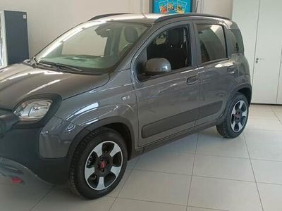 usata Fiat Panda Cross 1.0 FireFly S&S Hybrid