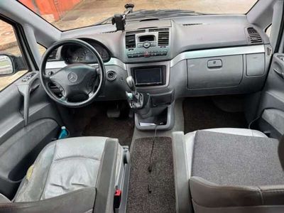 Mercedes Viano