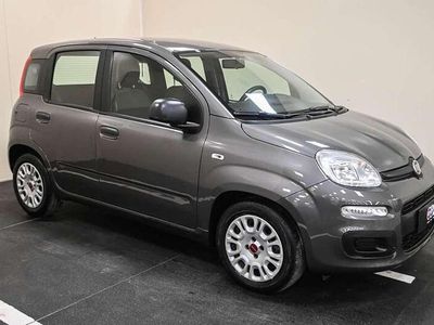 Usata Fiat Panda S 69 CV (50 kW) 2022 Grigio Utilitaria