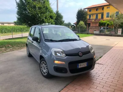 Usata Fiat Panda Lounge 69 CV (50 kW) 2018 Grigio Utilitaria