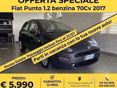 Usata Fiat Punto Lounge 69 CV (50 kW) 2017 Grigio Utilitaria