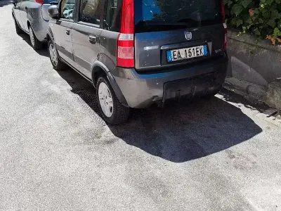 Usata Fiat Panda 60 CV (44 kW) 2010 Grigio Utilitaria