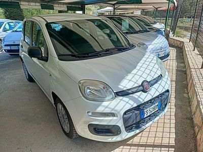 Usata Fiat Panda Easy 95 CV (69 kW) 2018 Bianco Utilitaria