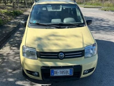 Usata Fiat Panda 4x4 69 CV (50 kW) 2006 Giallo Utilitaria